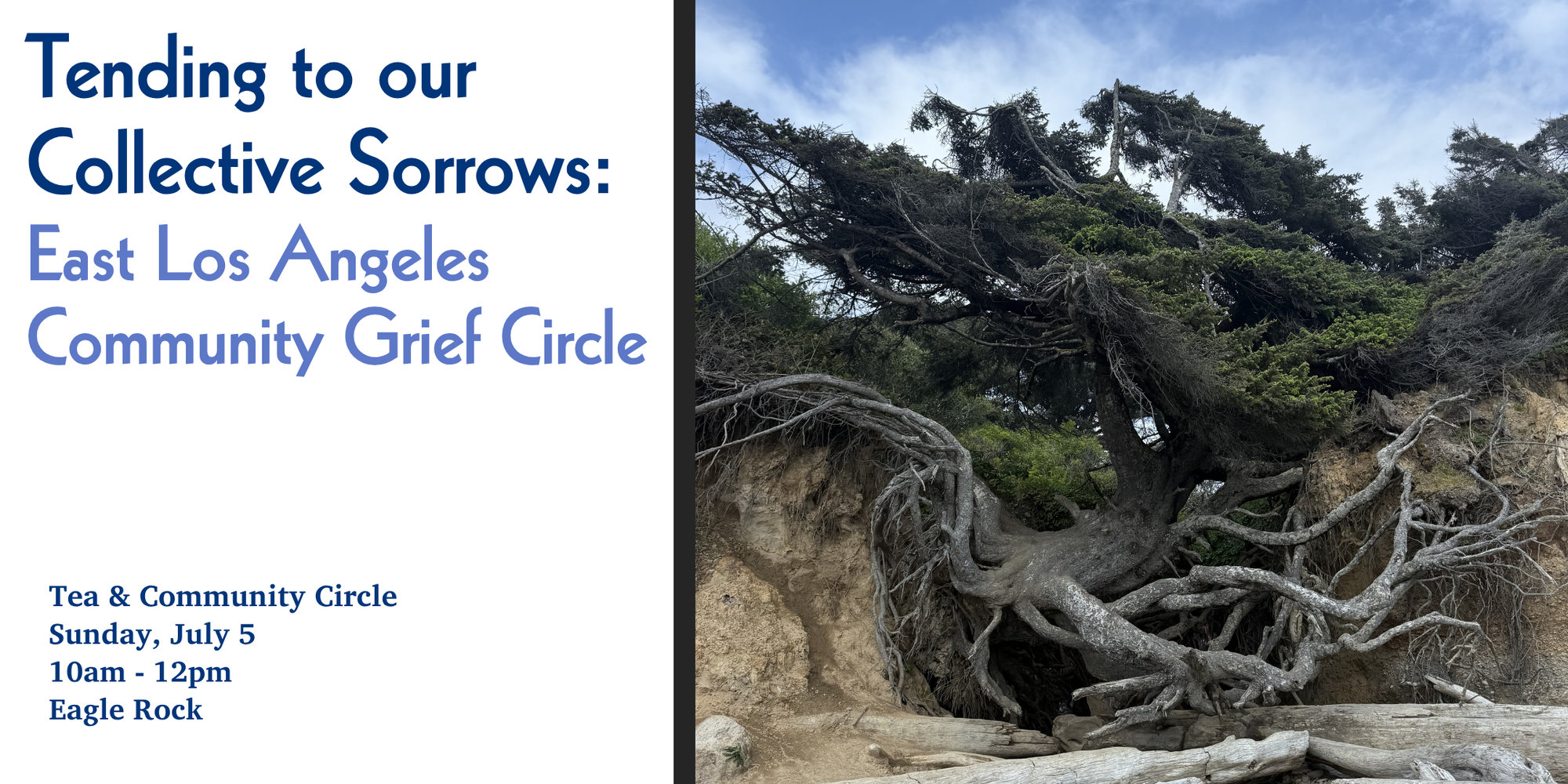 Flyer for a Grief Circle with the Tree of Life on the Right and the details for the event on the left